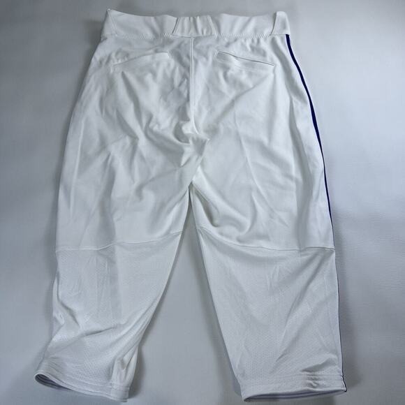 Nike Baseball High Pants Men's Vapor White Blue Stripe BQ6437-102 NWT Sz. M - Picture 2 of 7